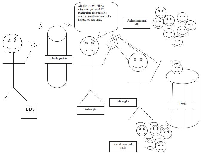 Microglia activation.jpg