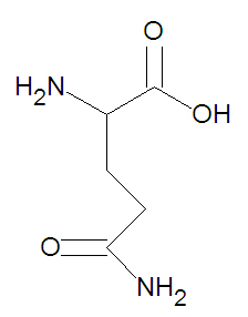 Glutamine stick figure.jpg