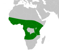 Distribution of the black-necked spitting cobra