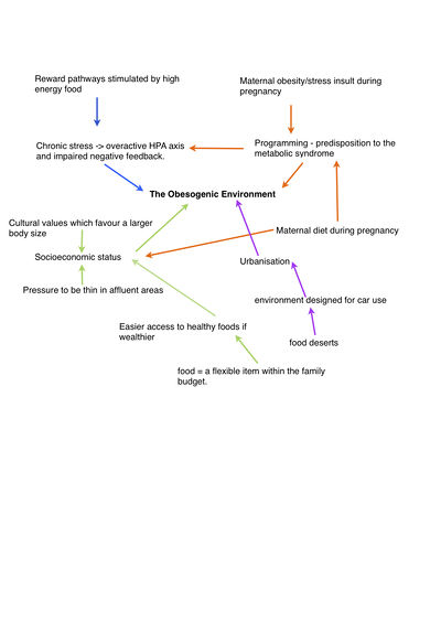 A&O diagram.jpg