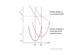 IsoelectricPptn.jpg