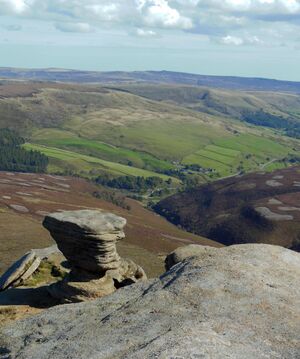 Fairbrook naze (2.5).jpg