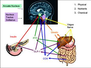 Diagram 3.jpg