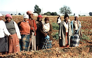 SouthAfricaFieldwork21989.jpg