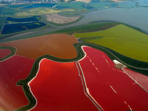 SF Bay Salt Ponds.jpg