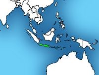 Distribution of the Javan spitting cobra