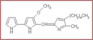 Prodigiosin.png