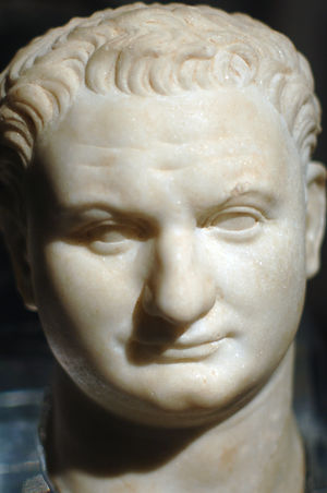 Titus bust.jpg