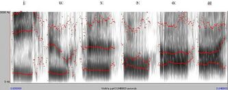 Phonetics often involves modern technology to analyse speech, providing evidence for linguists on the nature of spoken language. This spectrogram as used in acoustic phonetics shows the frequencies of vibrations involved in the production of six British English vowels by an adult male native speaker: from left to right, the vowels as in bee, sue, herd, or, bar and buy. The bands of energy (formants) are distinctive for each vowel; for example, the lower the bottom formant ('F1'), the higher the vowel is articulated in the mouth. The greater the distance between F1 and the second-lowest 'F2' formant correlates with how far back in the mouth the vowel is produced. This image was created using the Praat freeware program.