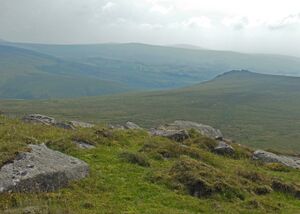 Dartmoor from Hare Tor.JPG