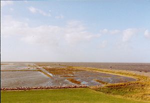 Friedrichskoog.jpg