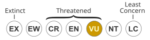 Status iucn3.1 VU.svg