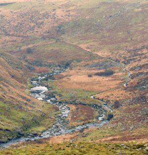 Start of leat from Tavy (2).jpg