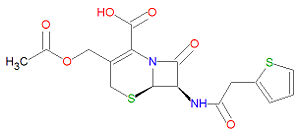 Cefalotin.jpg