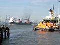 File:Container ship in Harwich.jpg