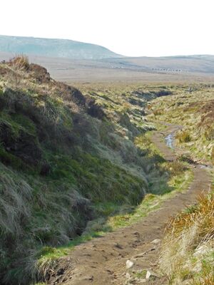 Pennine way.JPG