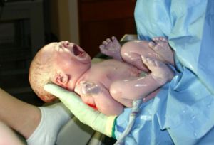 800px-HumanNewborn.JPG.jpg