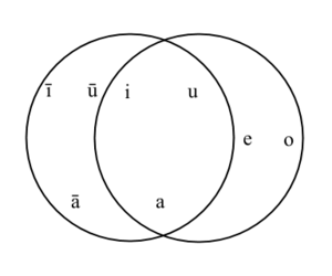 Phonological Diagram of modern Arabic and Hebrew vowels.png