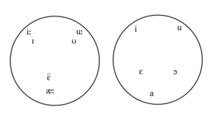 Phonetic Diagram of modern Arabic and Hebrew vowels.png