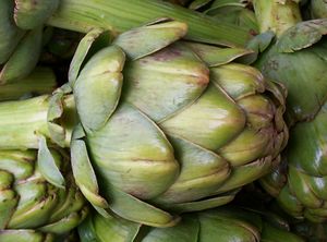 ArtichokeDeNoblesJumbo.jpg