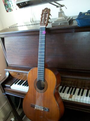 Acoustic nylon six-stringed guitar.jpg