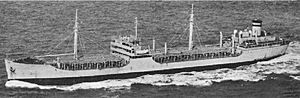 USNS MIssion San Rafael.jpg