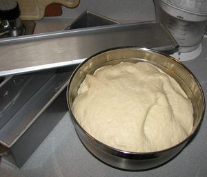 Bread 03 Second Rising.jpg