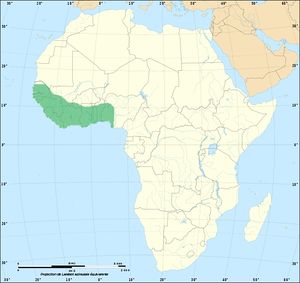 Dendroaspis viridis distribution.jpg