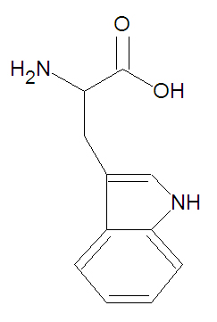 Tryptophan stick figure.jpg