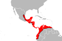 Distribution of the Bothrops asper