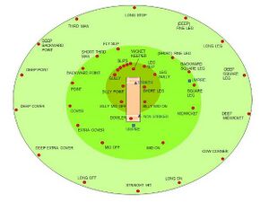 Fielding position diagram.jpg