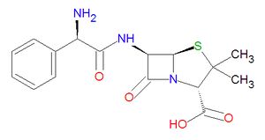 Ampicillin structure.jpg